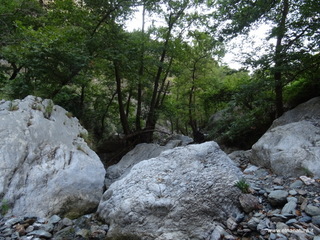stoleone-09-08-2020 09